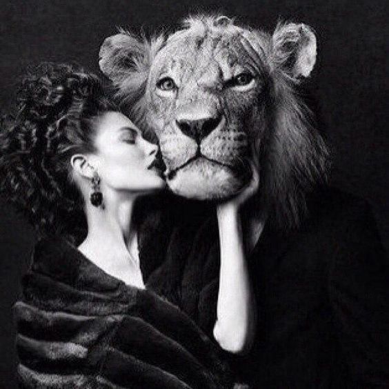 La Leonera Comunicación