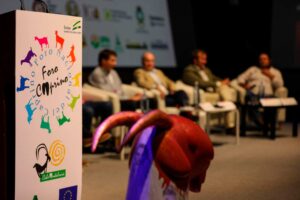 Leonera comunicación eventos