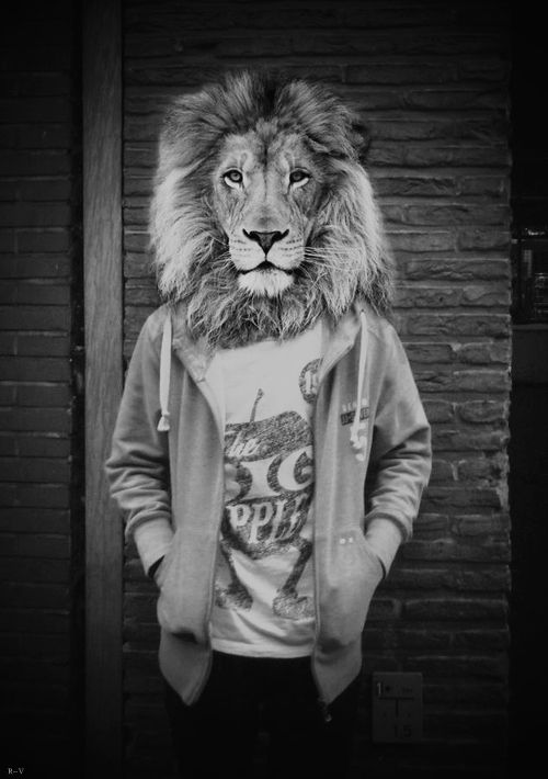 La Leonera Comunicación