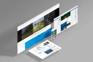 Leonera comunicación redes sociales