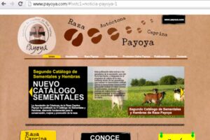 Leonera comunicación web