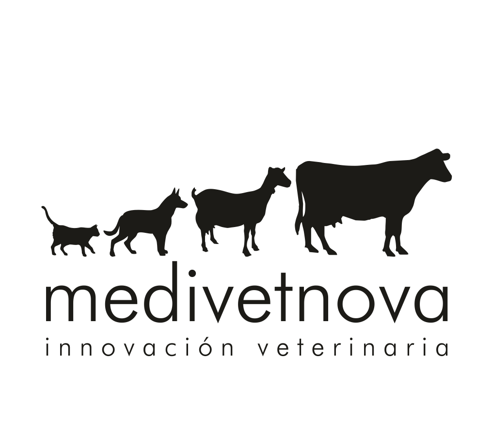 Leonera comunicación Clientes